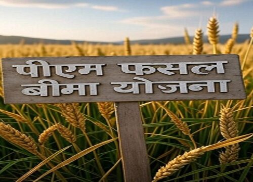 पीएम फसल बीमा योजना