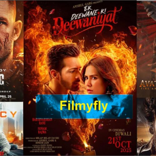 Filmyfly Review