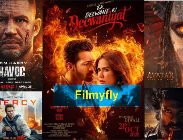 Filmyfly Review